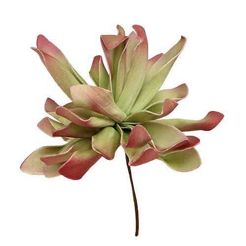 Foam Blossom Ø12cm Verde / Rosso 6 pezzi
