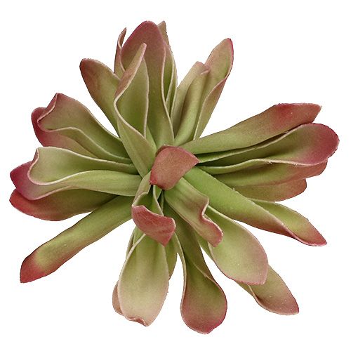 Floristik24 Foam Blossom Ø12cm Verde / Rosso 6 pezzi