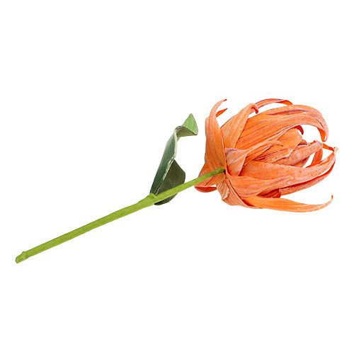 Floristik24 Fiore di schiuma arancione 12 cm L30 cm 1 pz