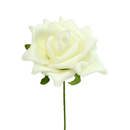 Rosa di schiuma Ø7,5cm Crema 18 pezzi | Floristik24.it