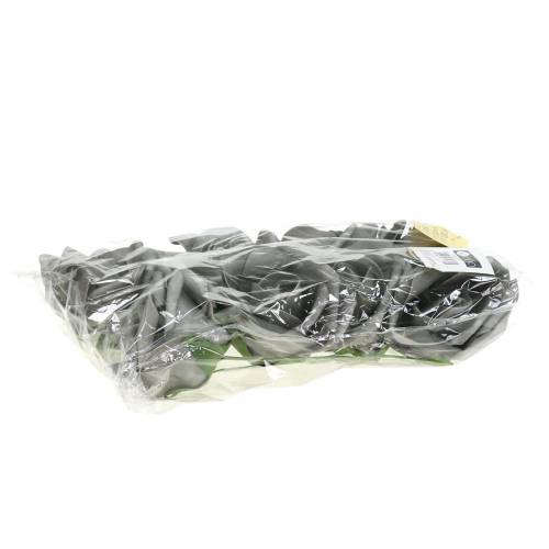Floristik24 Rosa in schiuma Ø10cm grigio 8 pz