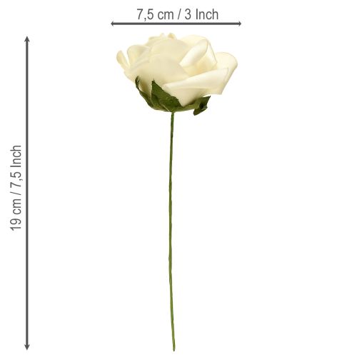 Prodotto Rose di schiuma con stelo fiori di schiuma crema Ø7,5cm 18 pezzi