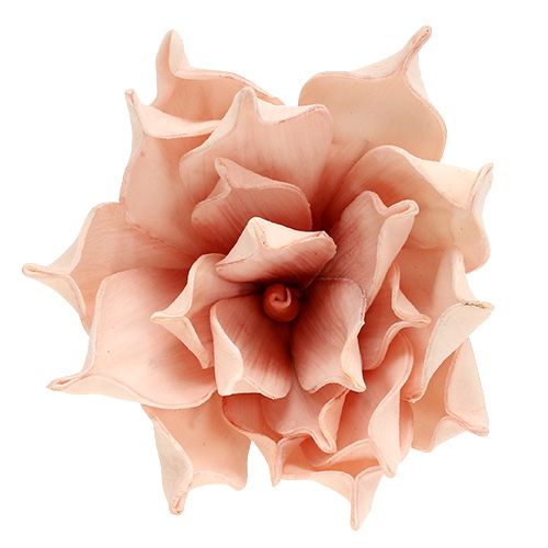 Floristik24 Schiuma fiore rosa magnolia Ø15cm L65cm