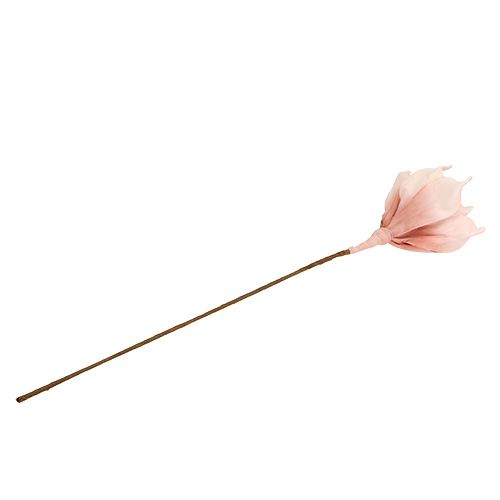Floristik24 Schiuma fiore rosa magnolia Ø15cm L65cm