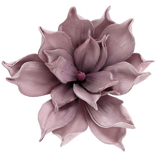 Floristik24 Schiuma fiore Magnolia Berry Ø15cm L67cm