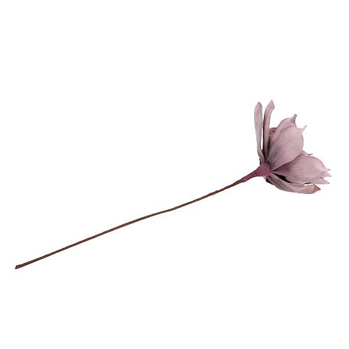 Floristik24 Schiuma fiore Magnolia Berry Ø15cm L67cm