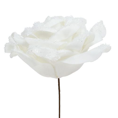 Floristik24 Foamrose bianco Ø10cm nevicato 6 pezzi