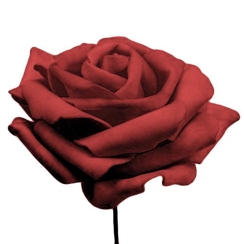 Prodotto Rosa rossa in schiuma Ø10cm 8 pz
