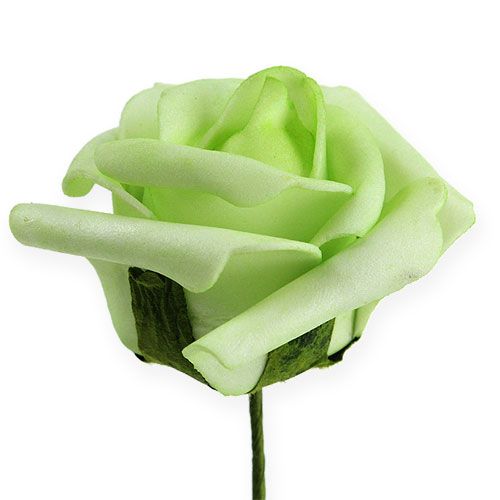 Floristik24 Rosa in schiuma Ø 8 cm verde 18 pz