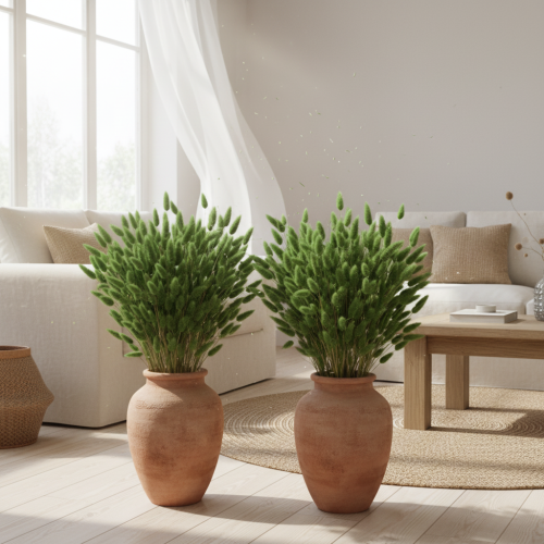 Prodotto Lagurus essiccato (Erba coda di lepre) 65-70 cm 100 g