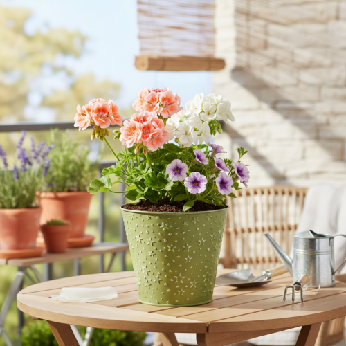 Prodotto Vaso da fiori in metallo, fioriera, stelle, verde e argento, Ø16cm