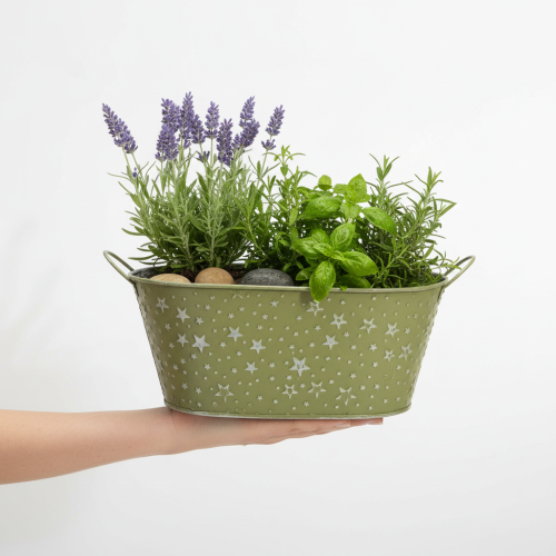 Prodotto Ciotola ovale in metallo con stelle e manici, verde, 31×16 cm, H12,5 cm