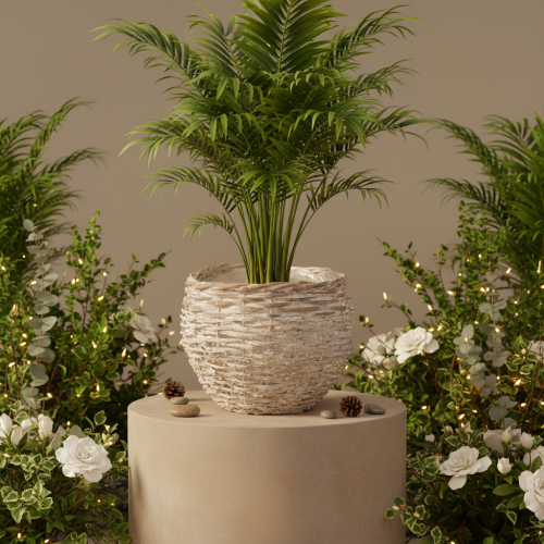 Cesto rotondo intrecciato, grande cesto decorativo per piante, 23 cm | Floristik24.it