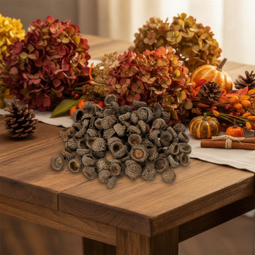 Tappi di ghianda naturali, ciotole decorative per l'autunno e l'Avvento, 2 cm, 300 g | Floristik24.it