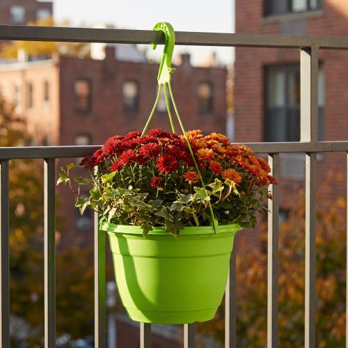 Cesto sospeso 25 cm verde | Floristik24.it
