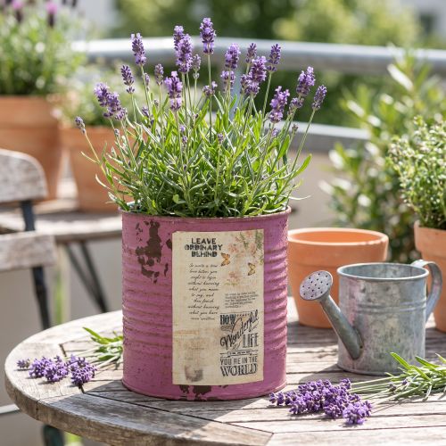 Vaso decorativo vintage in metallo viola, decorazione estiva Ø11cm H10.5cm | Floristik24.it