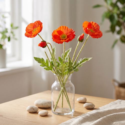 Arancio papavero 60cm 3pz | Floristik24.it
