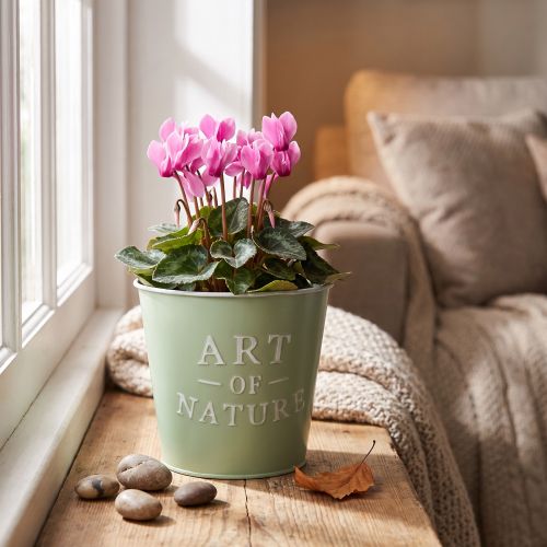 Prodotto Vaso da fiori in zinco, verde menta, Ø15cm, H13.5cm