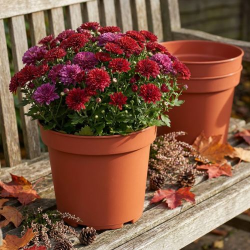 Vaso per piante in plastica Ø23 cm 10 pezzi | Floristik24.it