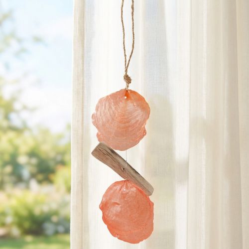 Appendiabiti decorazione marittima Capiz conchiglie legni arancioni naturali 35 cm | Floristik24.it