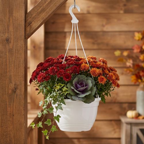 Cesto sospeso Ø30 cm bianco | Floristik24.it