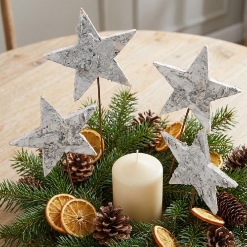 Stelle di betulla su filo Stelle corteccia di betulla bianca 6 cm 24 pz | Floristik24.it