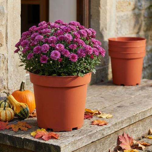 Vaso per piante in plastica Ø26cm 10 pezzi | Floristik24.it