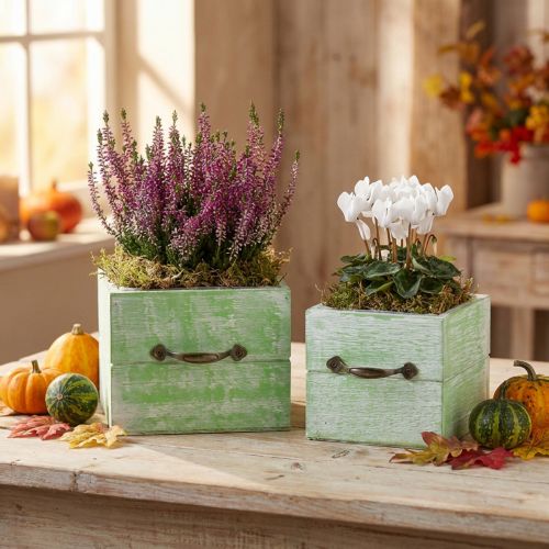 Cassettiera in legno per fioriera verde chiaro 15x15/12x12 cm set da 2 | Floristik24.it