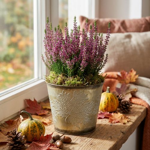 Fioriera per l'autunno, secchio in metallo con decorazione a foglia, vaso in metallo dorato Ø14cm H12.5cm | Floristik24.it