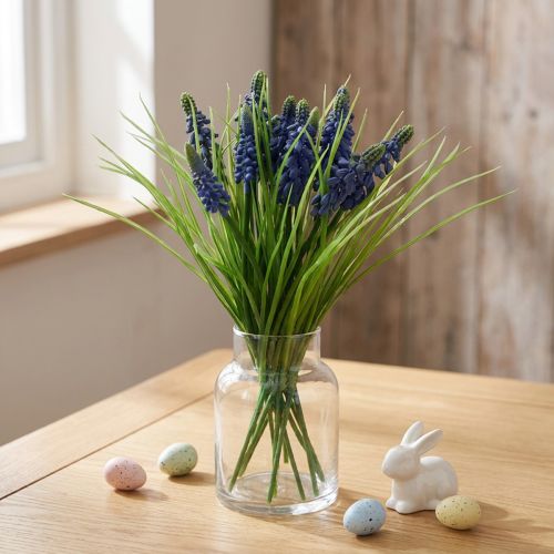 Giacinti d'uva 28cm - 30cm Blu 15 pz | Floristik24.it