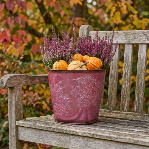 Fioriera, secchio in metallo con foglie, decorazione autunnale rosso vino Ø18cm H17cm | Floristik24.it