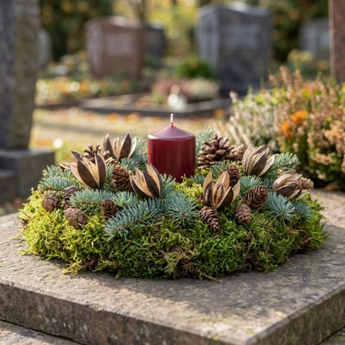 Decorazione naturale di giglio selvatico, fiori secchi esotici, 6-8 cm, 50 pezzi | Floristik24.it