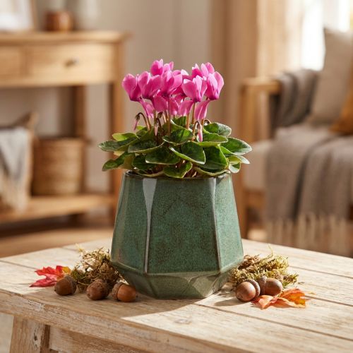 Vaso da fiori fioriera in ceramica verde esagonale Ø10cm H9cm | Floristik24.it