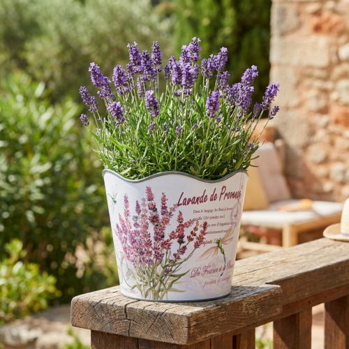 Fioriera in plastica per fioriera estiva lavanda Ø16,5 cm H13,5 cm | Floristik24.it