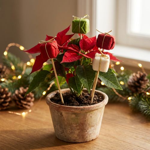 Spina per fiori Natale Confezione natalizia 2,5 cm 15 pz | Floristik24.it