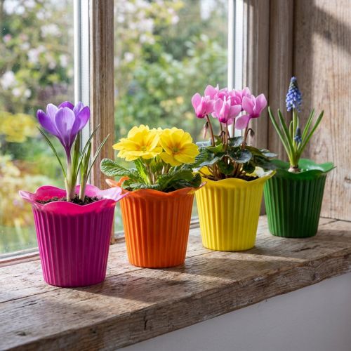 Vaso di fiori in plastica Ø9cm, 25 pezzi | Floristik24.it