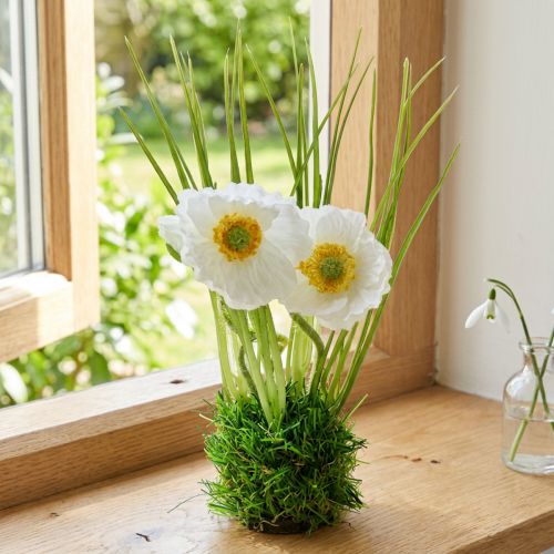 Poppy White in the grass 23cm | Floristik24.it