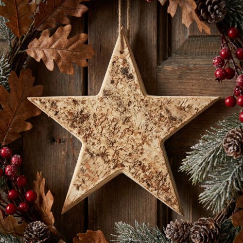 Stelle con corteccia rustica Addobbi natalizie Legno Ø20cm | Floristik24.it