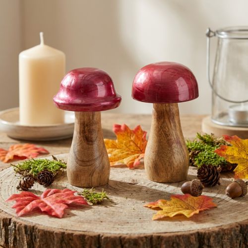 Funghi in legno funghi decorativi legno rosso lucido Ø6cm H10cm 2 pezzi | Floristik24.it
