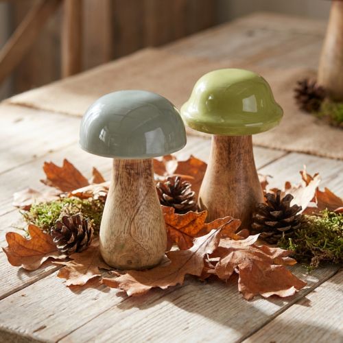 Funghi in legno funghi decorativi legno grigio verde Ø6cm H10cm 2 pezzi | Floristik24.it