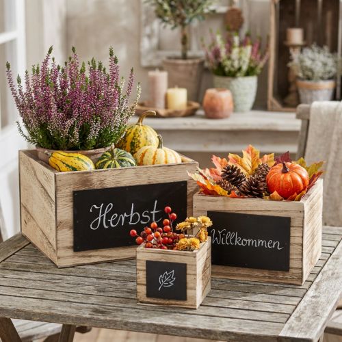 Scatole rustiche in legno con superficie lavagna – naturali e nere, varie dimensioni – soluzione organizzativa versatile – set da 3 | Floristik24.it