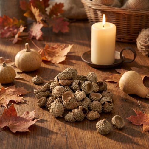 Prodotto Cappelli di ghianda ghiande decorative naturali per lavori artigianali 1,5 cm 200 g