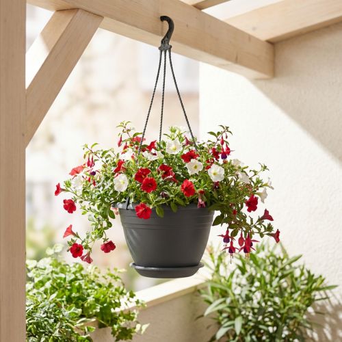 Cestino sospeso Galizia Ø30cm antracite | Floristik24.it