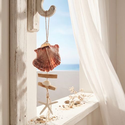 Appendiabiti decorativo marittimo conchiglia stella marina Ø10–12 cm 40 cm | Floristik24.it