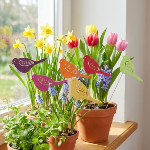 Tappi per fiori con decorazione primaverile, decorazione per uccelli in legno, 28 cm, 18 pz | Floristik24.it