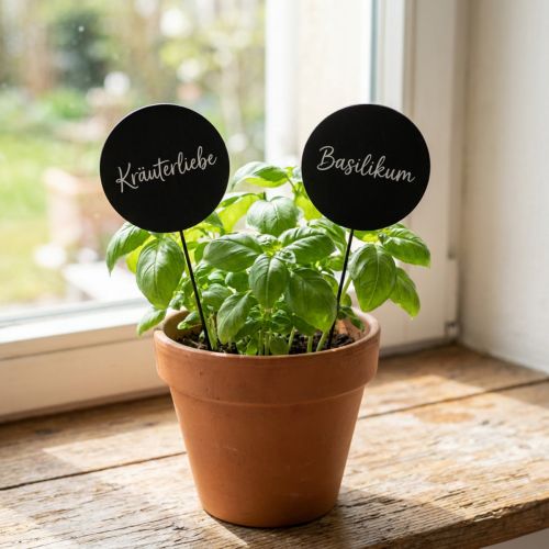 Paletti decorativi in legno per lavagna, rotondi, neri, Ø6cm, L15cm, 12 pezzi - Decorazione creativa per composizioni floreali e regali | Floristik24.it