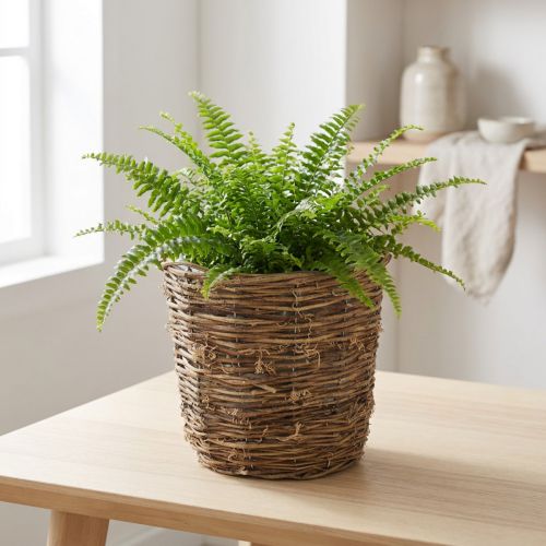 Cestino per piante con design a forma di vite, decorativo per vasi di fiori e decorazioni da tavola. | Floristik24.it
