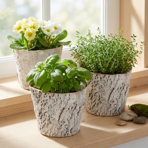 Vaso per piante effetto corteccia, ideale per interni rustici e decorazioni vegetali, 12 cm, 4 pezzi | Floristik24.it