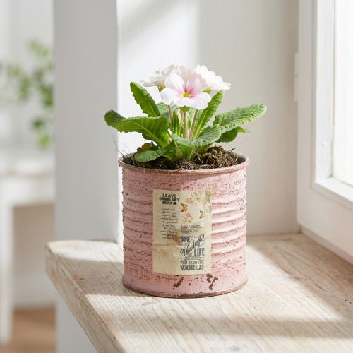 Vaso da fiori decorativo rotondo in metallo anticato, per rose, Ø8cm H7.5cm | Floristik24.it