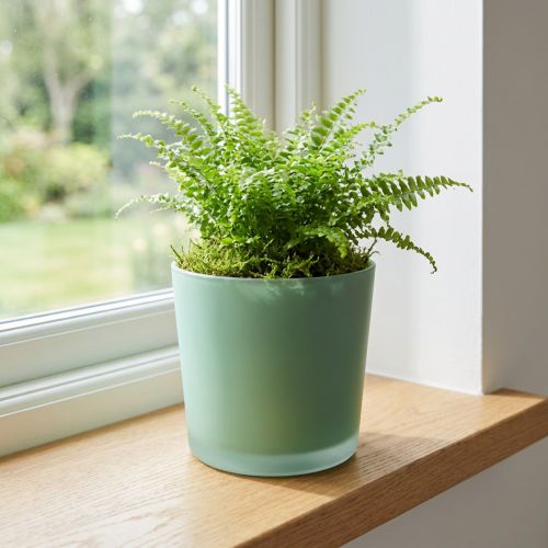 Vaso di fiori in vetro vaso di vetro verde fioriera Ø11,5 cm H11 cm | Floristik24.it